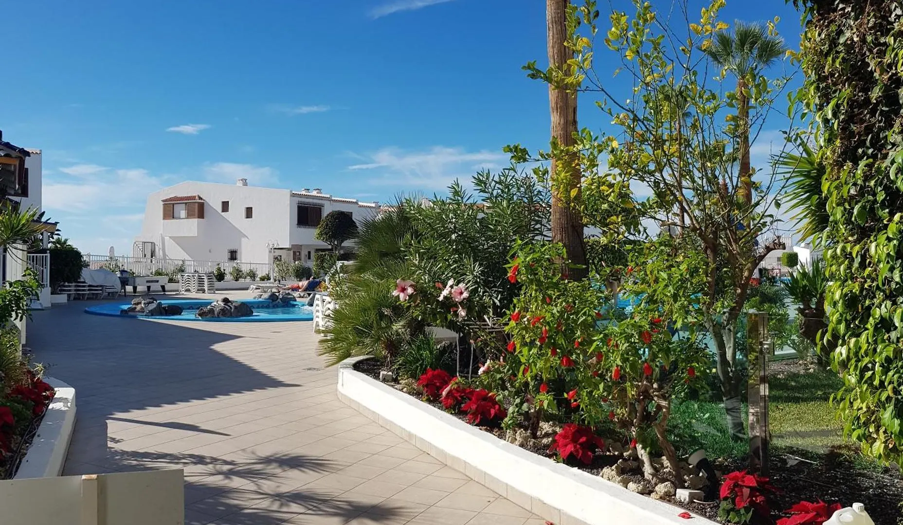 Appartamento Bungalow Club Atlantis Costa Adeje  Spagna